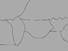 FADA Faunistic Regions