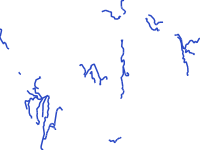 Transboundary Rivers - lines